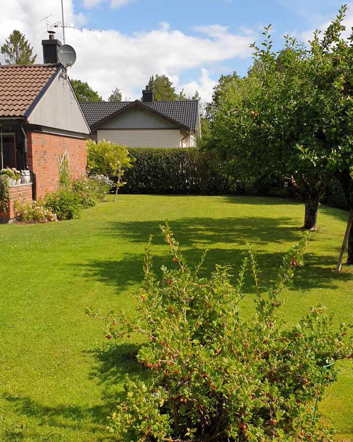 248504664 1420700031658054 2008113522919826929 n